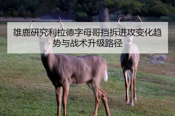 雄鹿研究利拉德字母哥挡拆进攻变化趋势与战术升级路径